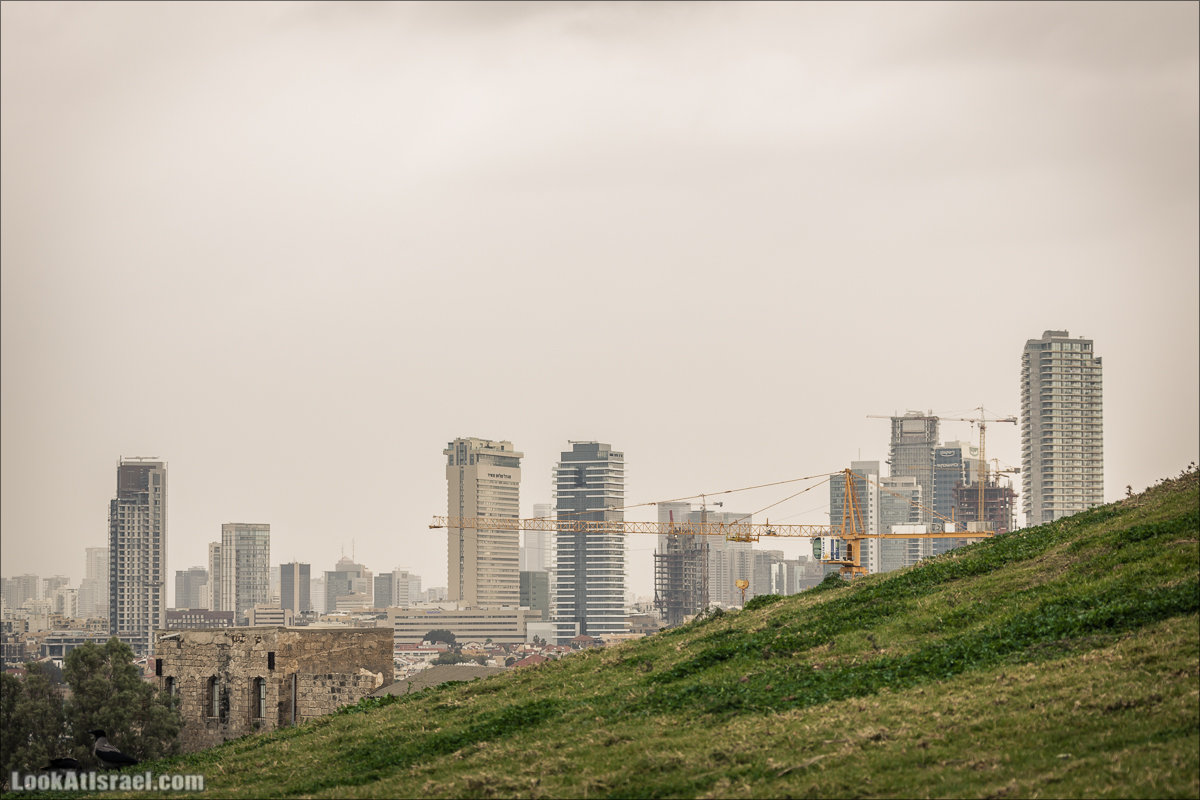 LookAtIsrael.com - Прогулка по дождливому Тель Авиву | Rain in Tel Aviv