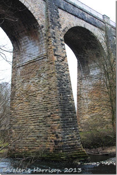 5-aquaduct