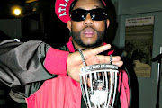 Gorilla Zoe