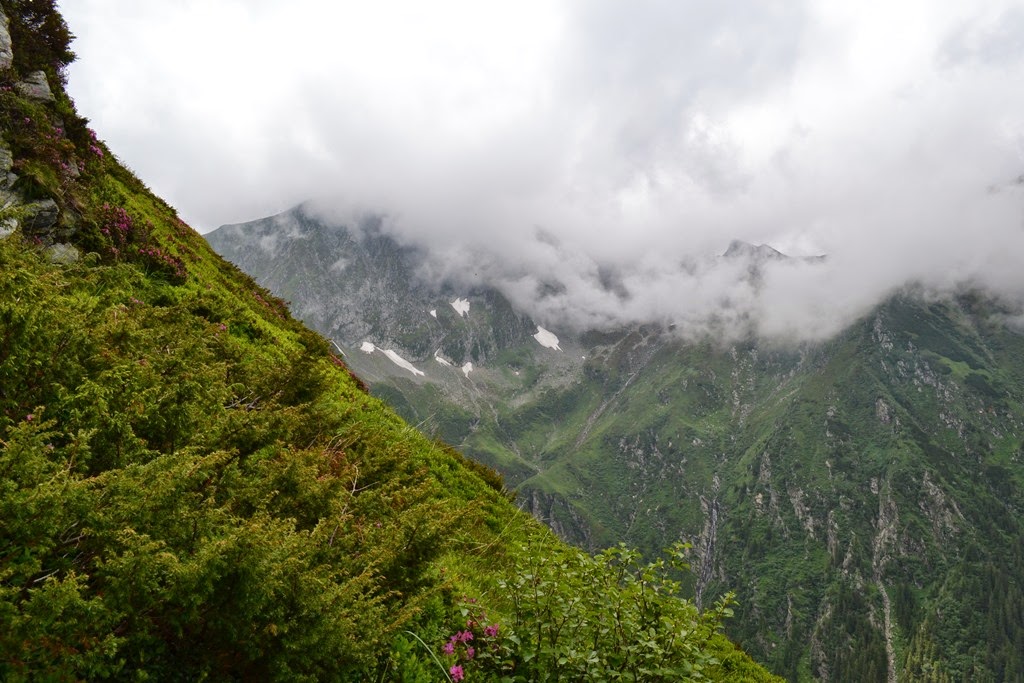 [DSC_78203.jpg]