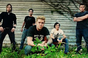 12 Stones