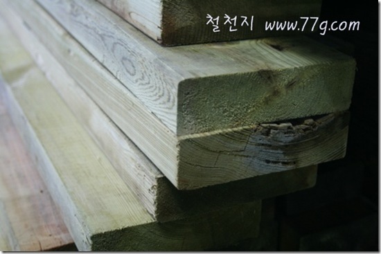 철천지IMG_2545-20110803-172547