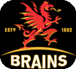 [Logo-Brains%255B3%255D.gif]