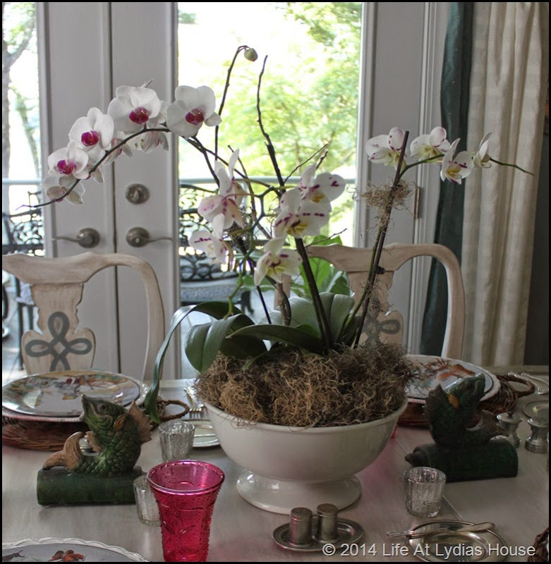 Bowl of orchids