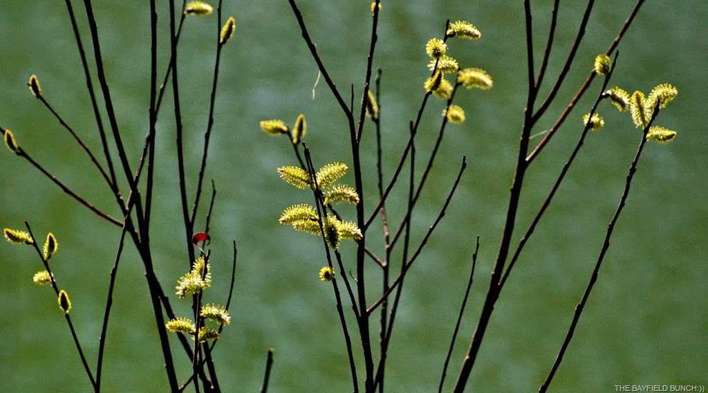 [DSC_0028%255B4%255D.jpg]