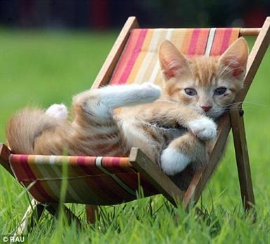 [431E785D-DFEF-4B20-B034-E72B55BE54AA%255B3%255D.jpg]