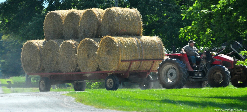 [DSC_0017-002%255B4%255D.jpg]