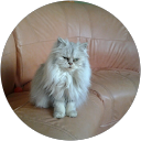 Image Google de martine touchet