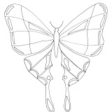 dibujos-infantiles-mariposas.gif.jpg