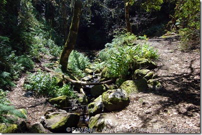 5636 Barranco de Crespo 5636 Barranco de Crespo