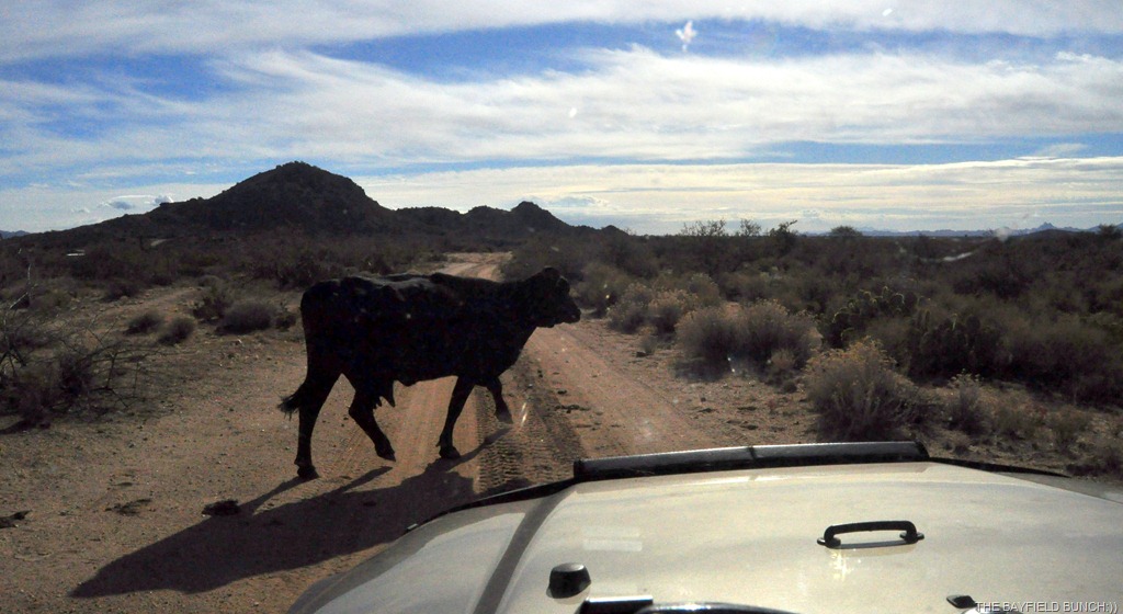 [DSC_0071%255B9%255D.jpg]