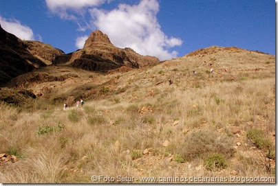 7327 Tunte-Fataga-Arteara(Cañada de las Aneas) 7327 Tunte-Fataga-Arteara(Cañada de las Aneas)