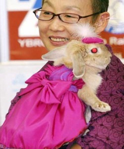 Rabbits-fashion-show-in-Seoul