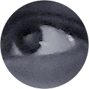 Image Google de Arkeus