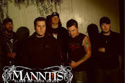 Manntis