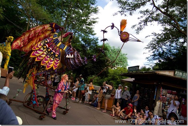 Animal Kingdom Planning