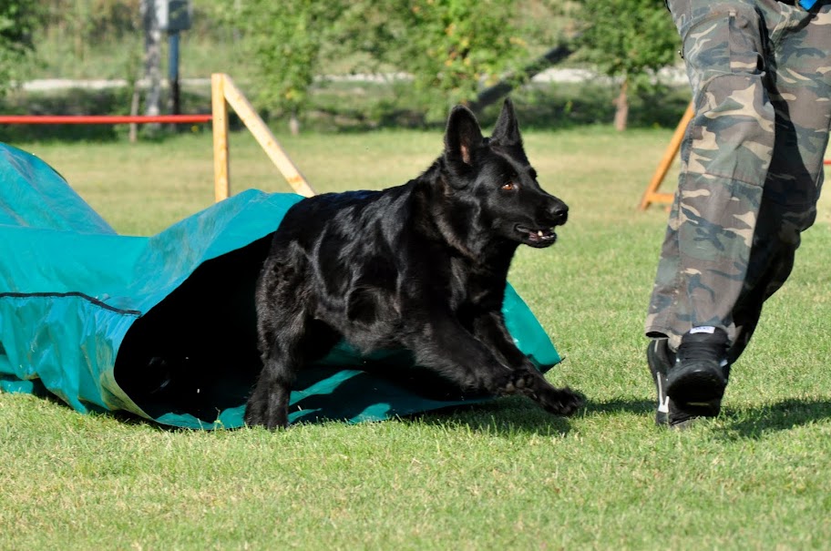 DSC_8240.JPG