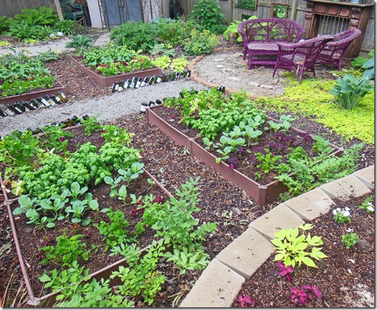 How To Plant A Full Shade Raised Garden Beds Year 2 - How To Build A Vegetable Garden Shade How To Plant A Full Shade Raised Garden Beds Year 2 - How To Build A Vegetable Garden Shade