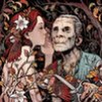 Fallen Leaves & Dead Sparrows