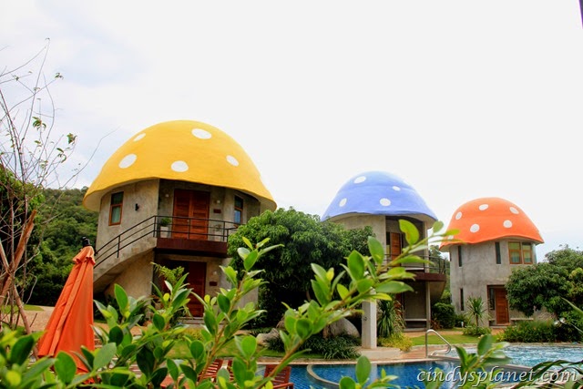 [khao%2520yai%2520panorama%2520farm%2520%25284%2529%255B2%255D.jpg.webp]
