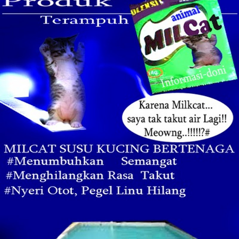 Gambar Lucu Terbaru 2012 — Produk Milkcat - Informasi Doni