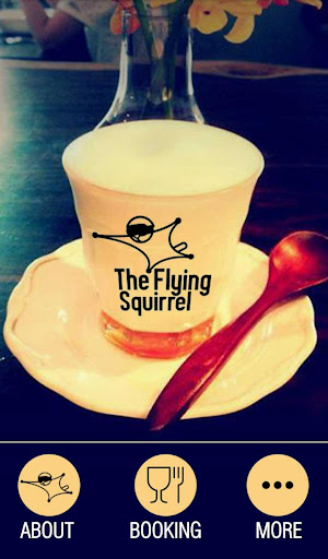 The Flying Squirrel