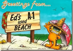 Garfield vacaciones  (5)