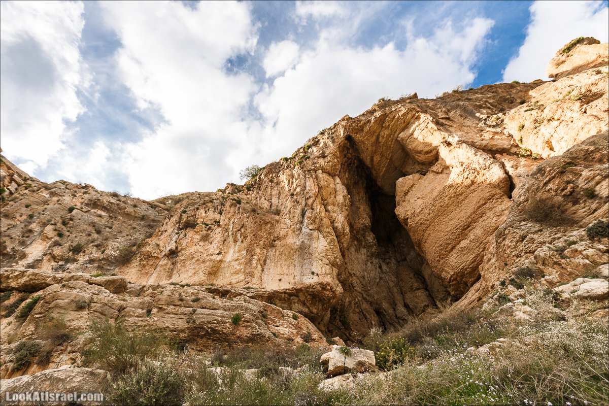 LookAtIsrael.com - Ущелья Харитона и Суккийская лавра в ущелье Ткоа | Wadi Tekoa and Hariton Cave | נחל תקוע מערת חריטון