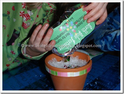 Grow a Candy Cane Christmas Activity