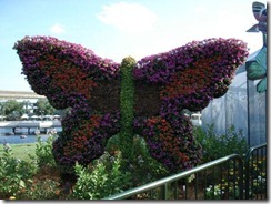 Epcot butterfly topiary