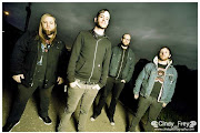 Cancer Bats