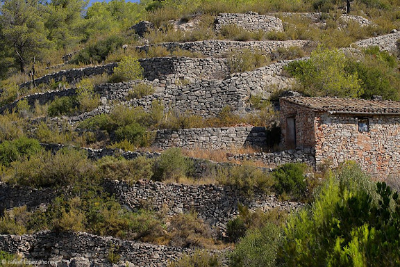 Mas al barranc dels Llagossets, Damunt Roca, serra de la FigueraEl Lloar, Priorat, Tarragona