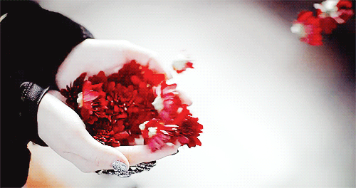 tumblr_n00jap6vlB1rtf0jwo1_500.gif