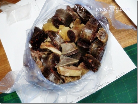 철천지DSC05007-20120329-151313