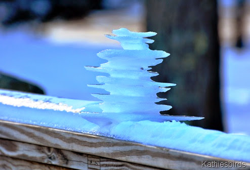 6. ice sculpture-kabDSC_0429
