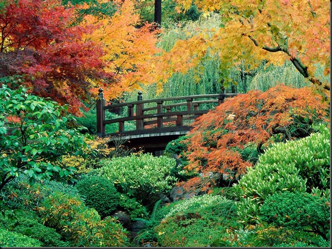 autumn-scene-wallpaper-12-10664