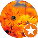 Image Google de Evelyne KALININE
