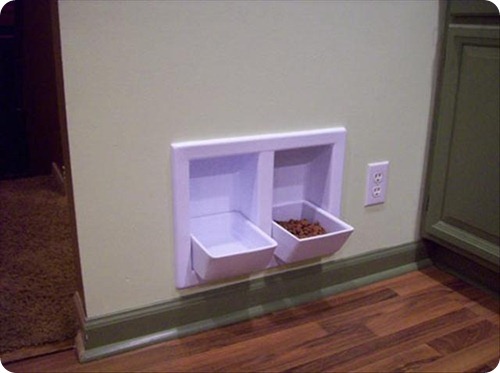 animal feeding station in wall