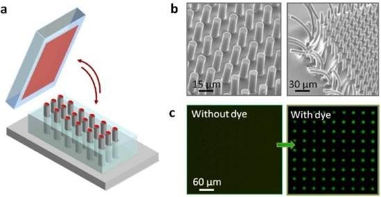 Materiais inteligentes imitam capacidade biológica de autorregulação 1