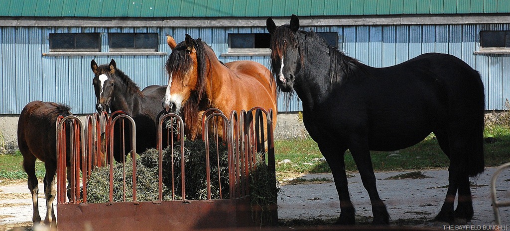 [DSC_7088%255B4%255D.jpg]