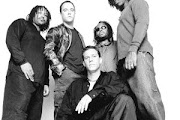 Dave Matthews Band