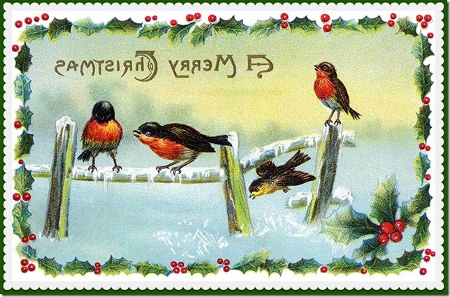 Winter Song Birds - a Vintage Christmas Card Illustration