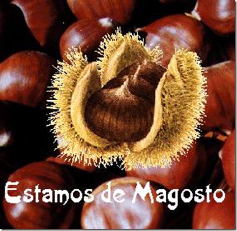 Magosto1