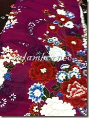 IMG_5534 IMG_5534
