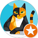 Philipp Schröter profile picture