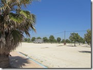 IMG_6429 IMG_6429