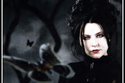 Amy Lee