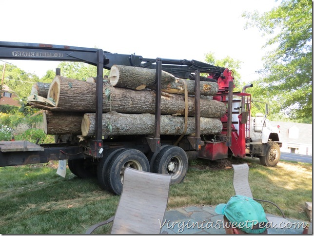 Truck with Logs