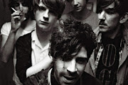 Foals