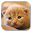 Fluffy Cat Live Wallpaper Download on Windows